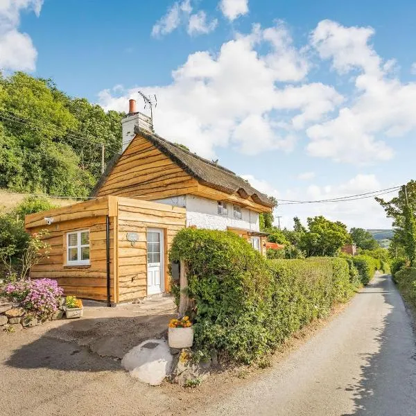 Elsie's Cottage, hotel a Pontesbury