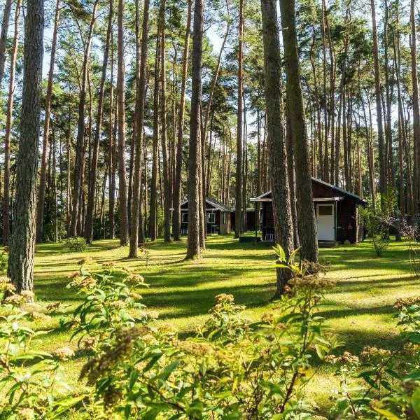 Urlaub im Bungalow mitten im Wald, hotel in Lütow