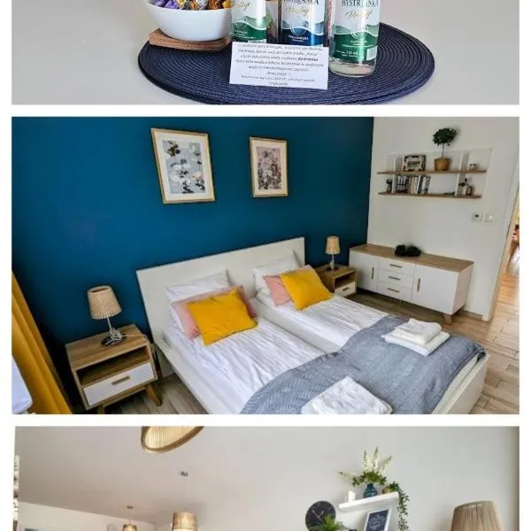 Mountain Szczyrk ApArt Bratków 10A, Hotel in Szczyrk