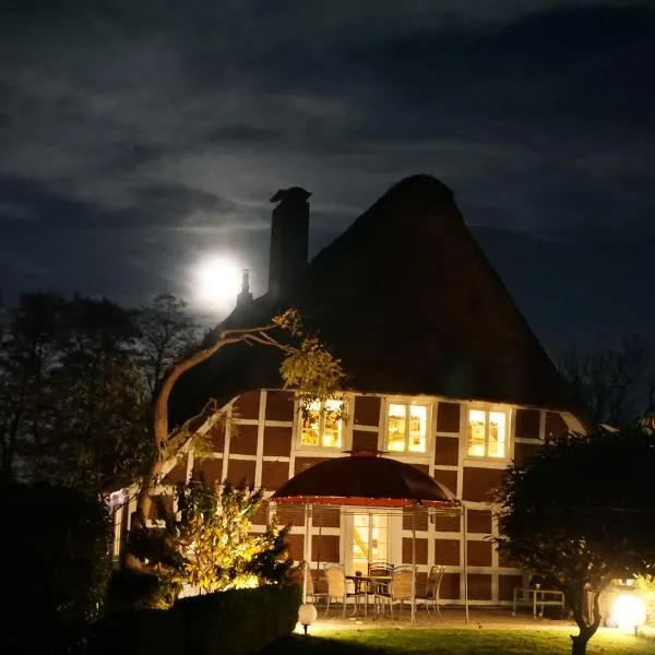 Hotel - Appartement, Sommer kühl-Pool, Winter warm-Kamin, 2 Schlafzimmer Altes Landhaus Oste mit Terrasse, Grill, Küche, Bad, WLAN, nah am Nordsee Strand, hotel i Hemmoor