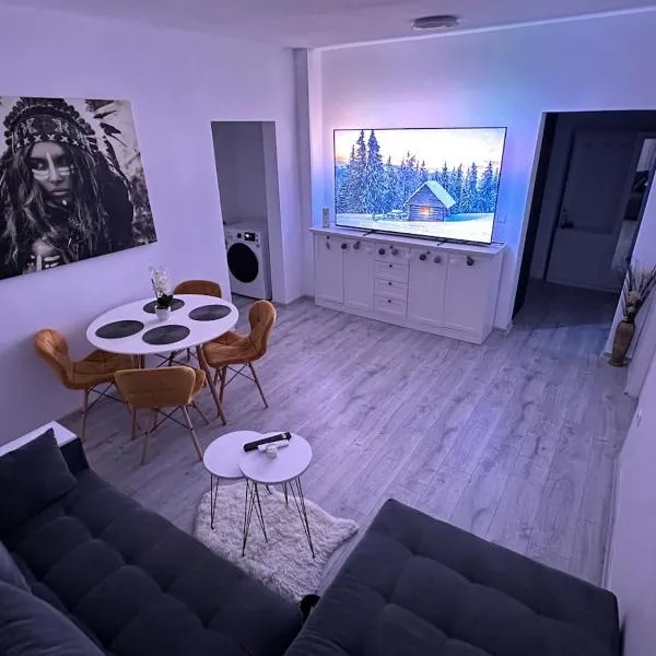 Modern 3-Room Apartment near City Center，蒂米什瓦拉的飯店