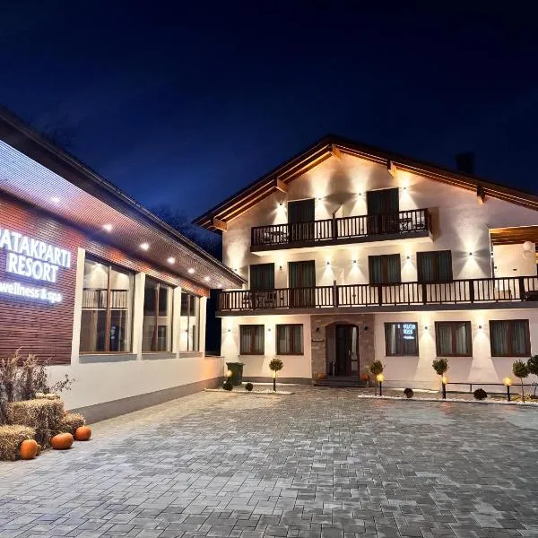 Pensiunea Patakparti 4, hotel in Praid