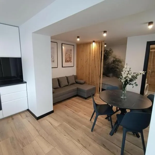 "Work and Quiet", Faktura VAT, KLIMATYZACJA, AIR CONDITIONING, GROUND FLOOR, PARKING, PARTER,, hotel v mestu Kielce