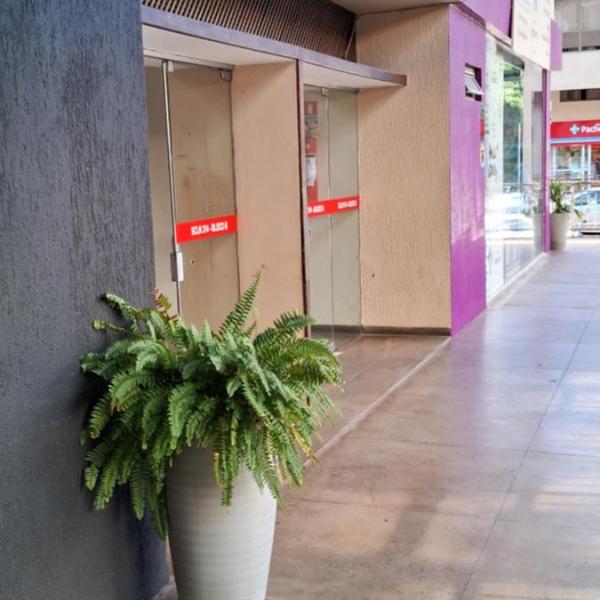Apartamento aconchegante na Asa Norte - Foto 5