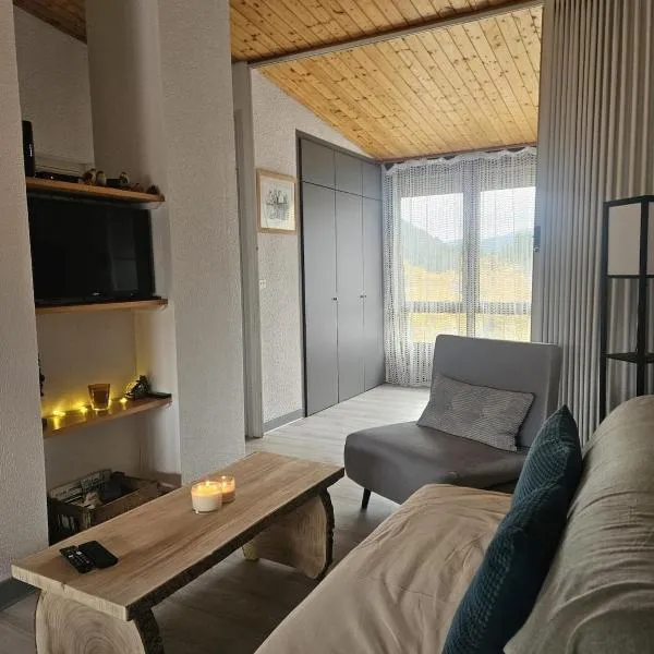 Chez Vi le Forestier, Appart cosy au cœur du Jura, hotel sa Mijoux
