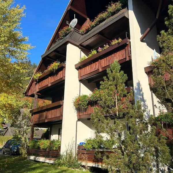 Ferienhaus Albmatte-Naturidyll am Fluss-Novemberaktion-Sauna inklusive, khách sạn ở St. Blasien