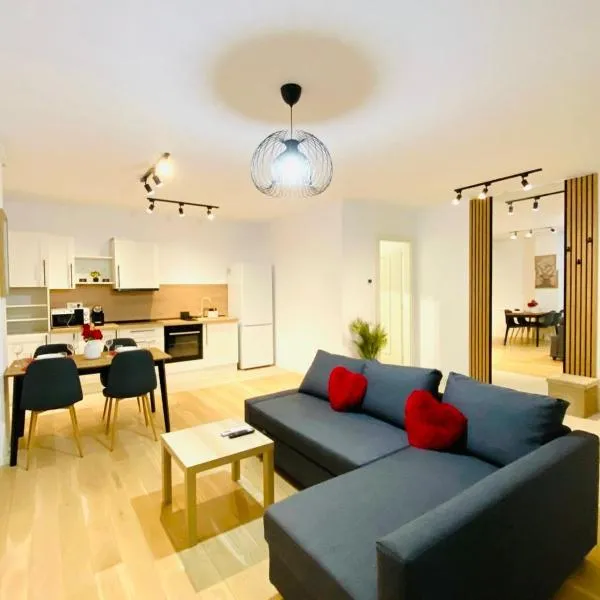 Central Cozy Apartment，蒂米什瓦拉的飯店