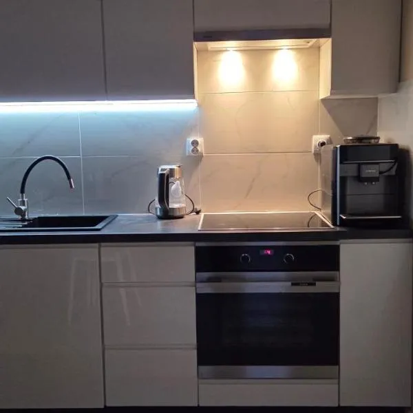 Apartament Srebrny Quick Park Oława, Hotel in Oława