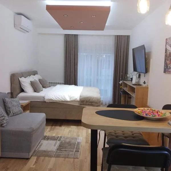 Studio DORA SS, hotel v destinaci Stari Banovci