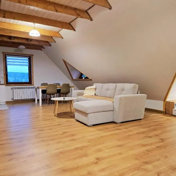 Haberowa Ostoja Agroturystyka blisko Białki Tatrzańskiej i Niedzicy, hotel in Łapsze Wyżne