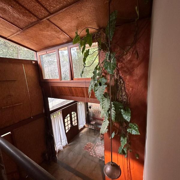 Maravilhosa Casa da Floresta