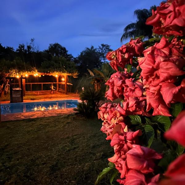 Maravilhosa Casa da Floresta - Foto 4