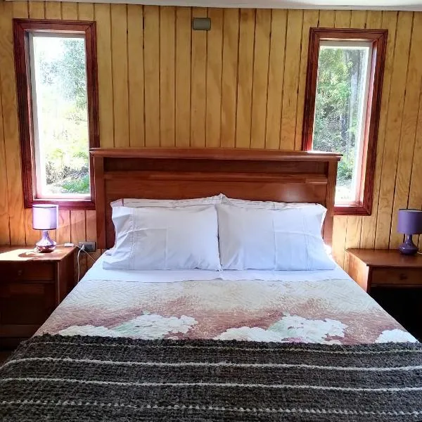 Cabañas CyG - Chaitén, hotel in Chaitén