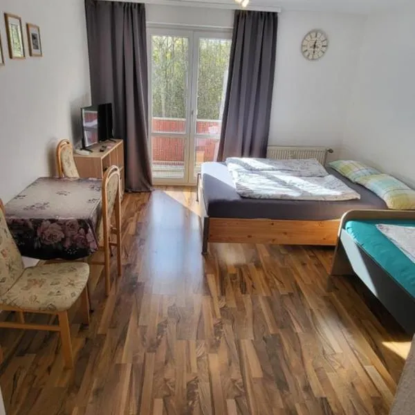 Apartment Homburg Uni-Nähe, hotel in Homburg