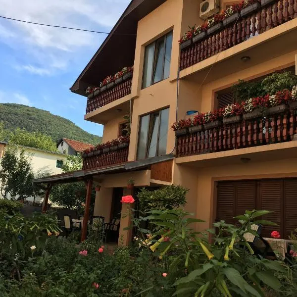 Pansion Velickovic, hotel v destinaci Niška Banja