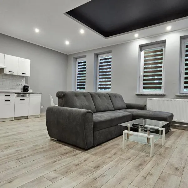 Noclegi Jodłowa，位于西维德尼察的酒店