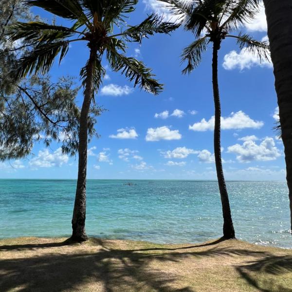 Paraíso das águas