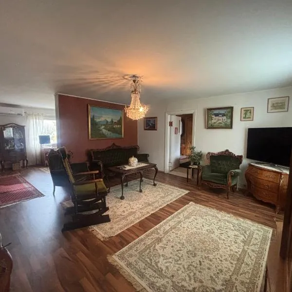 Villa Sillankorva, hotel v destinácii Viitasaari