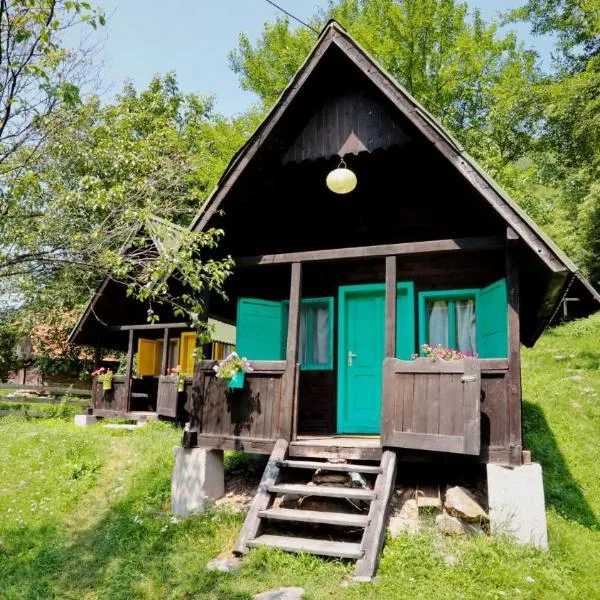 Pensiunea Dacica、Boşorodのホテル