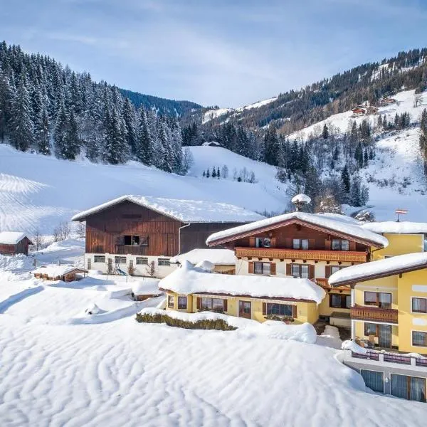 Hinteraigengut, hotel ve Flachau