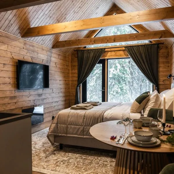 Silencius Cabin With Private Jacuzzi, hotel in Rovaniemi