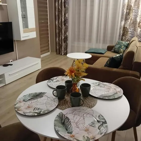 Apartament Zacisze, готель у місті Каліш