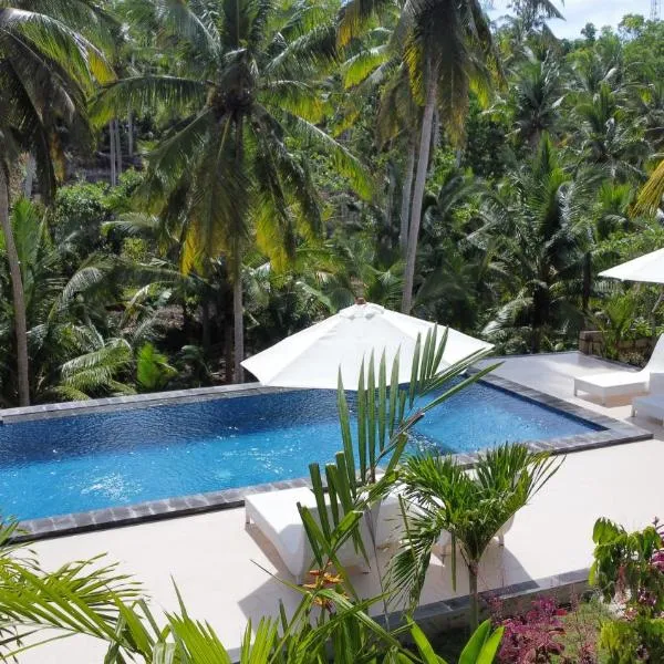The Lebah Kelingking Villa, hotel in Nusa Penida