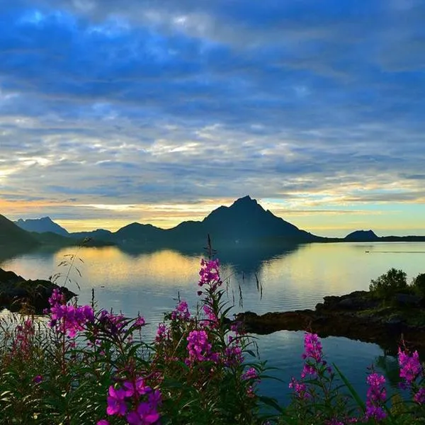 Skjellbogen Hyttegrend, hotel em Sortland