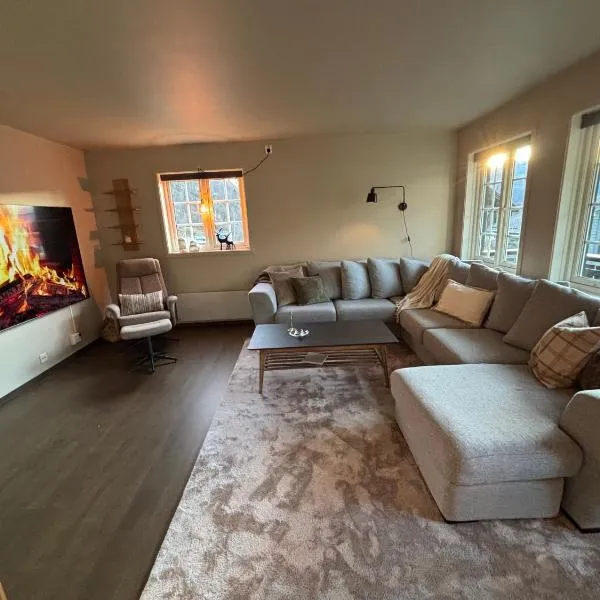 Røldal ski in ski out, ξενοδοχείο σε Håra