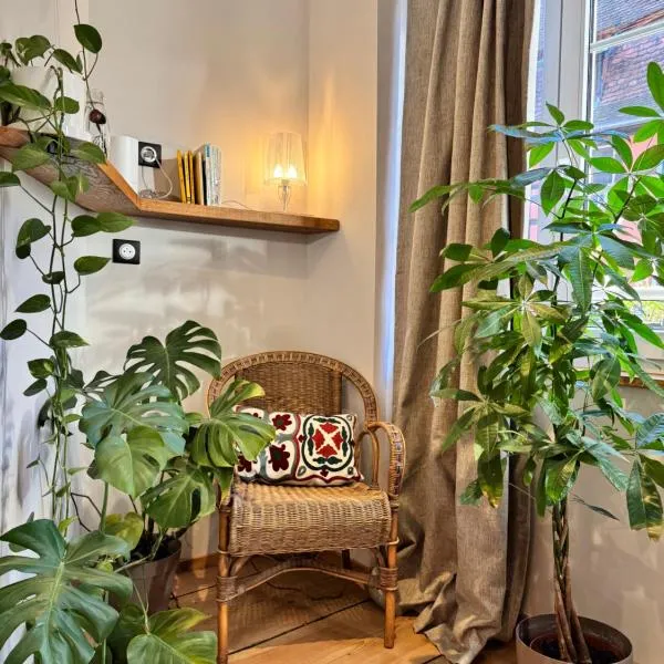 Petit cocon alsacien à Barr, hotel en Barr