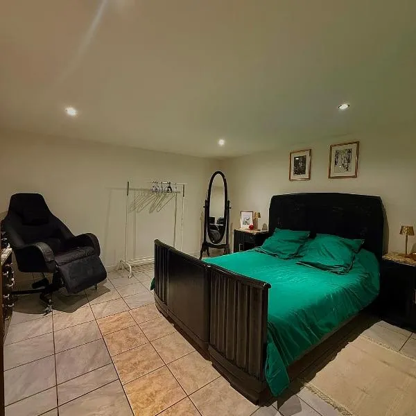 Le Cocoon caché avec parking, hotelli kohteessa Sarreguemines