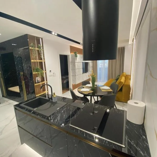 Arad Apartamente Premium, khách sạn ở Arad
