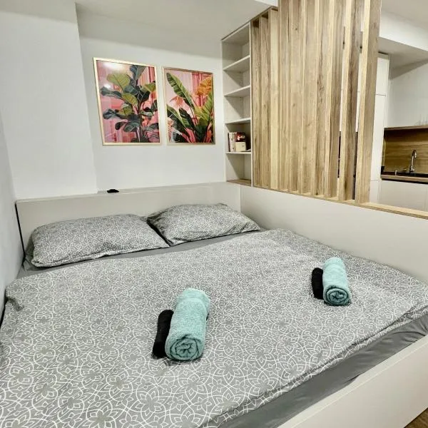 Black Lotus III l 24hr Self Check-in l City centre l Free parking, hotel in Banská Bystrica