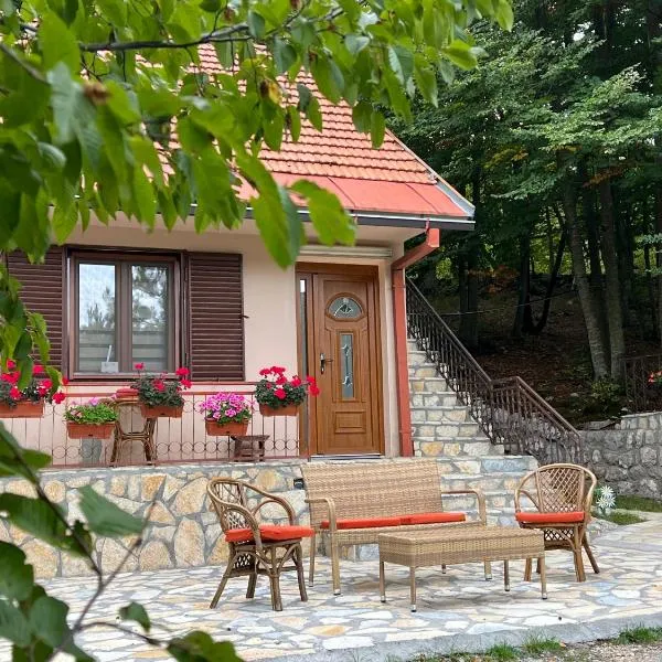 Vikendica Silenzio, ξενοδοχείο σε Cetinje