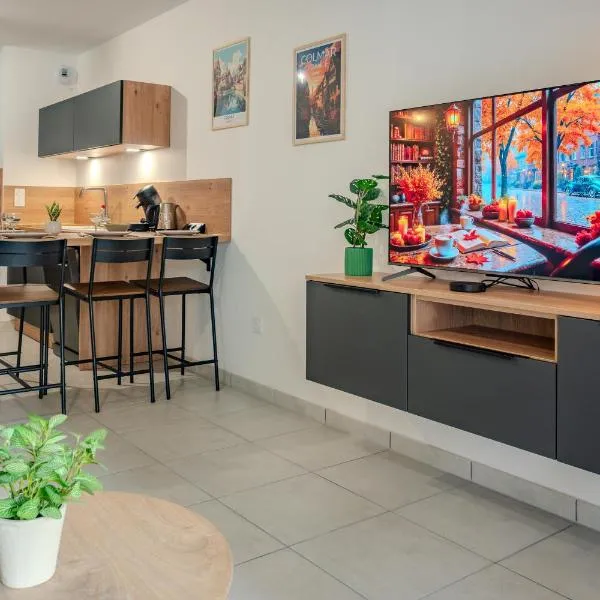 Le Stan - Centre Ville - Terrasse & Parking Gratuit - Commerces à proximité, отель в Кольмаре