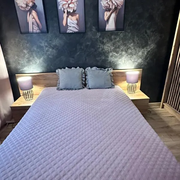 Apartament Kossaka, ξενοδοχείο σε Έλμπλαγκ