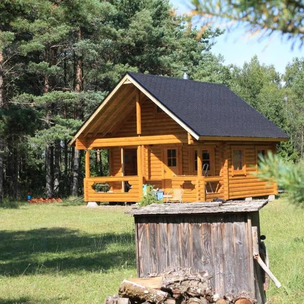 Nature Getaway Holiday Home – hotel w mieście Hiievälja
