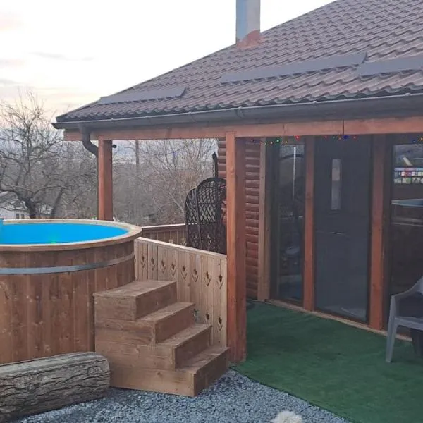 Cabana Laura, Hotel in Tîrnăveni