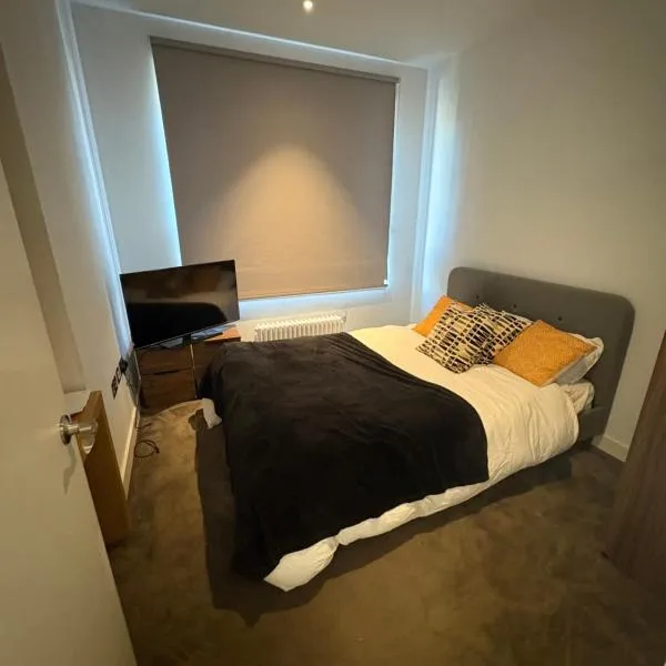 Cozy and Spacious Central London Stay in Canary Wharf with a City View & a Private Bathroom, hotel din Londra