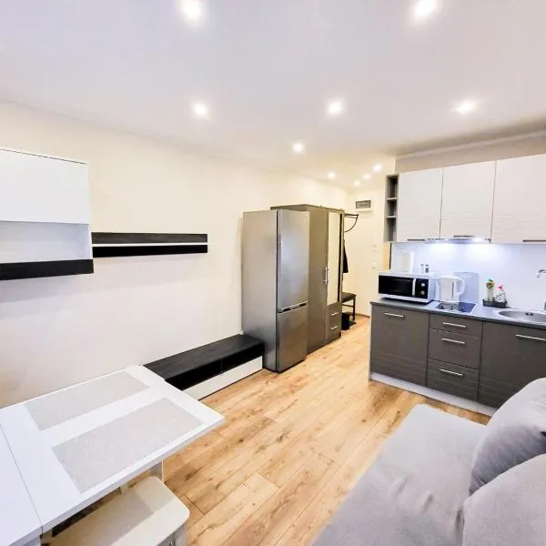 Furnished apartment with a very good location in Kristiine, Kotka 1, hotel a Tallinn