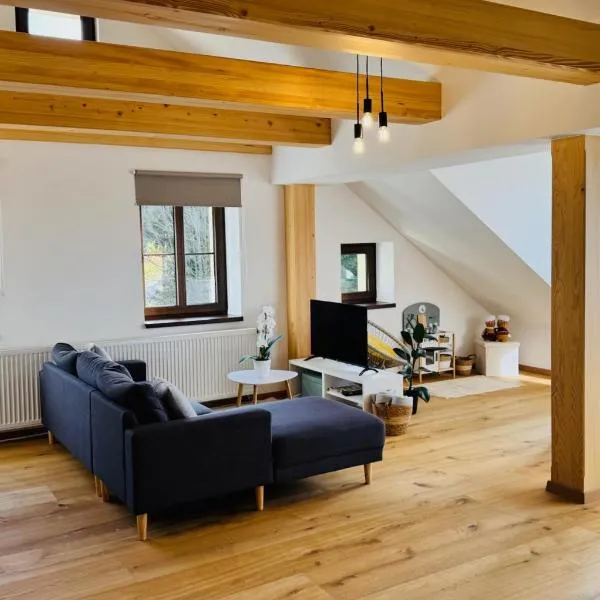 Nature Apartment โรงแรมในอัลเบรชติเซ วี ยิแซร์สกี ฮอรา
