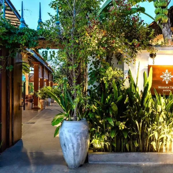 Moringa Tree Maison, hotel in Siem Reap