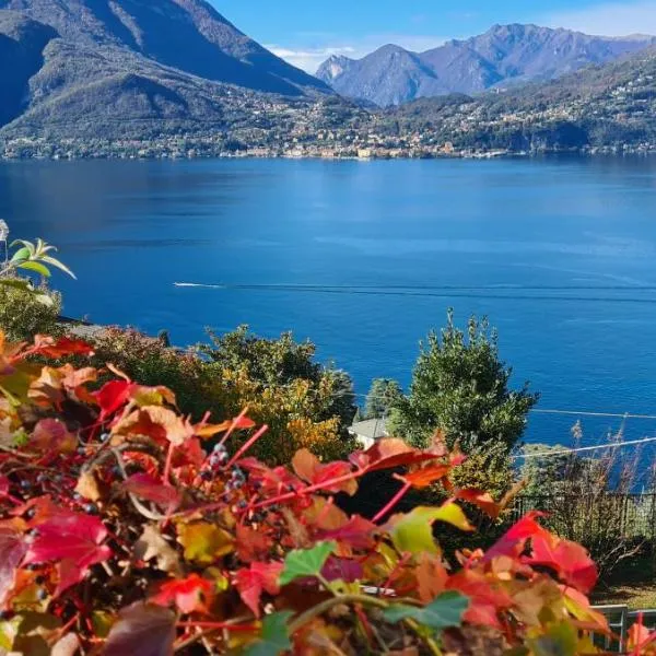 Villa gli Ulivi - Calafate Lake & Mountain View, ξενοδοχείο σε Perledo