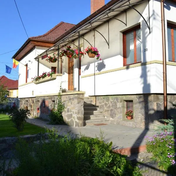 Casa Pleșca โรงแรมในซีบิว