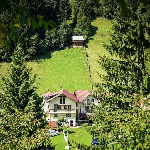 Pensiunea Puiu, Hotel in Moieciu de Sus