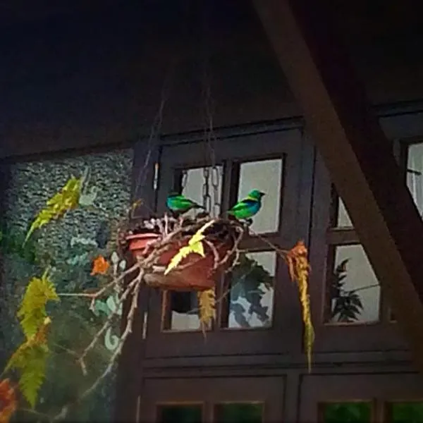 Recanto Marazul, hotel i Ubatuba