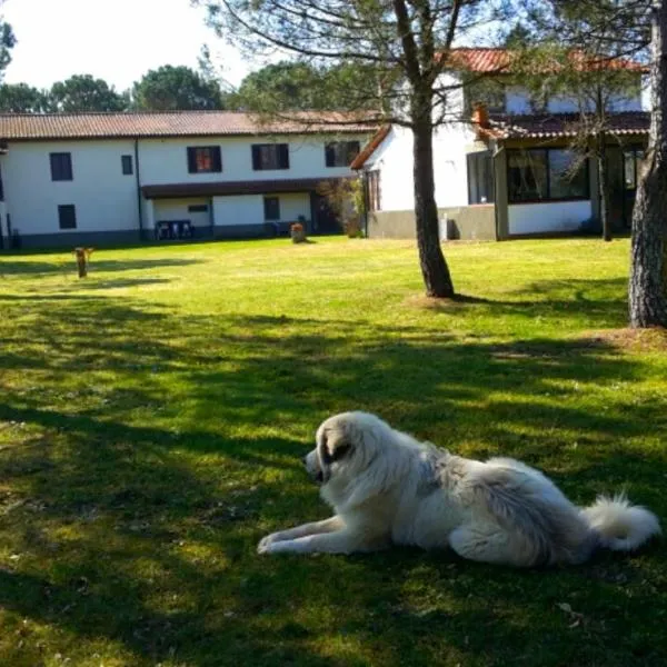 Artenatura BeB, hotel a Terranuova Bracciolini