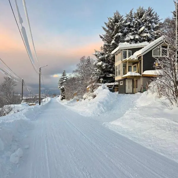 Senja Skaland, hotel in Melkarhola