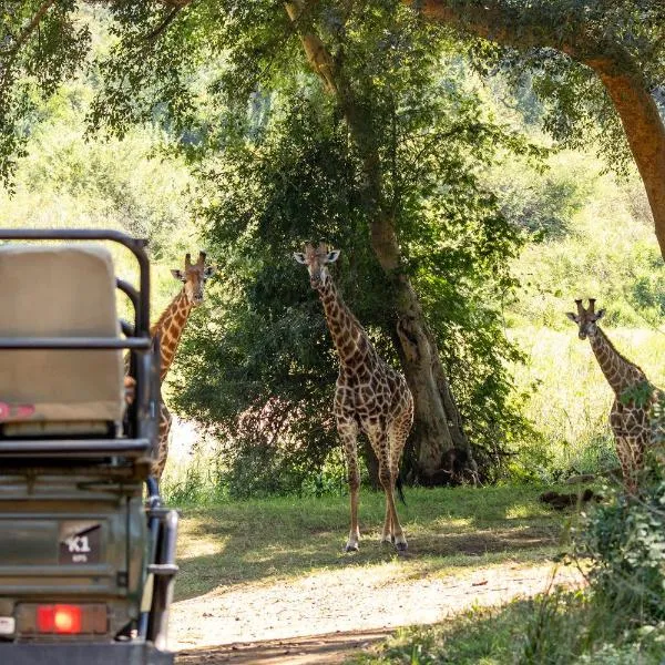 Karongwe - River Safari Lodge, hotel v destinaci Hoedspruit