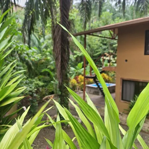 Villas Corcovado-AC-Jacuzzi-Pool-Great Views-Nature-Relaxing, hotel in Puerto Jiménez